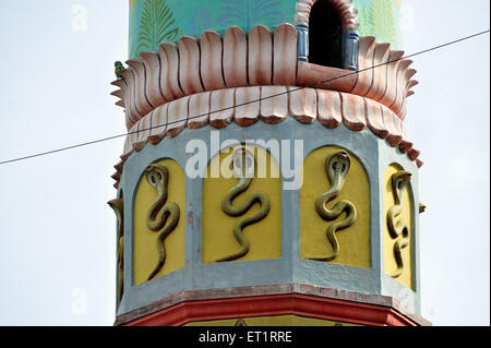 Sculture in rilievo del cobra serpenti sulla torre di scuotimento jagdamba tempio rashin karjat ahmednagar Maharashtra India Asia Foto Stock