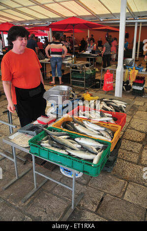 Il mercato del pesce nel centro storico della città di Spalato è una cosa da vedere lungo le pareti costruite intorno ad un quarto secolo palazzo romano. Foto Stock