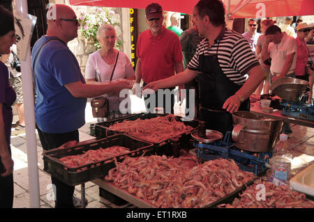 Il pesce e i frutti di mare mercato nella città vecchia di Spalato è una cosa da vedere lungo le pareti costruite intorno ad un quarto secolo palazzo romano. Foto Stock