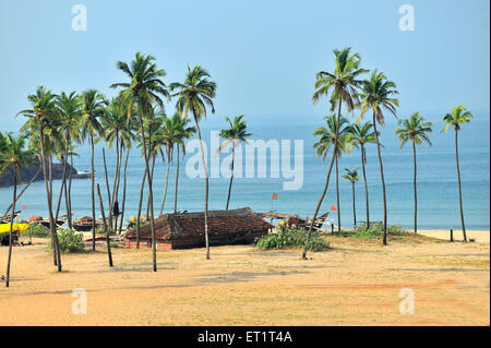 Alberi di palma, Kunkeshwar Beach, Kunkeshwar, Devgad, Sindhudurg, Konkan, Maharashtra, India, Asia, Asia, Indiana Foto Stock