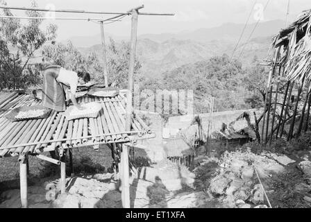 Essiccazione di ortaggi e cereali su piattaforme di bambù tribù Apa Tani ; vicino a Ziro ; Arunachal Pradesh ; India ; Asia ; foto del 1900 d'epoca Foto Stock