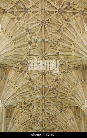 Il magnifico ventola gotico soffitto a volte di Sherborne Abbey con i suoi intricati pattern di costole intersecantisi fra loro. Il Dorset, Inghilterra, Regno Unito. Foto Stock