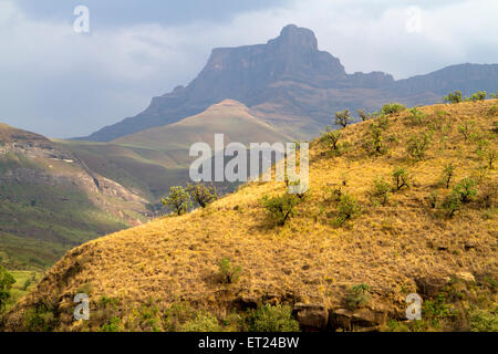 Vista delle montagne Drakensberg dal sentiero nell'Anfiteatro Foto Stock