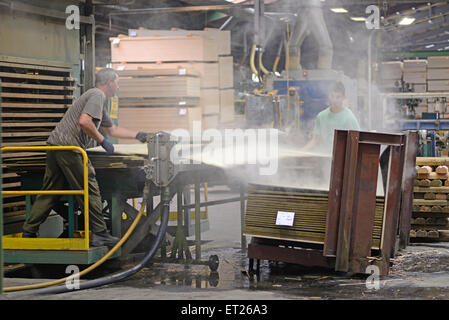 Greymouth, Nuova Zelanda, 22 maggio 2015 : lavoratori pila appena fatti fogli non tagliata di legno compensato Foto Stock