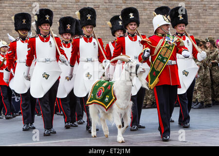 Cardiff, Galles, UK. 11 Giugno, 2015. Le strade sono state chiuse e la folla rivestite le strade nel centro di Cardiff come questa mattina la regina è arrivato per presentare i nuovi colori del reggimento al Royal Welsh reggimento. Il reggimento, guidati dai principali di capra e la mascotte del reggimento, Shenkin, hanno marciato dal Castello di Cardiff al Millennium Stadium dove la cerimonia formale avrà luogo. La regina sarà quindi la valutazione del reggimento per una cena celebrativa. Credito: Chris Stevenson/Alamy Live News Foto Stock