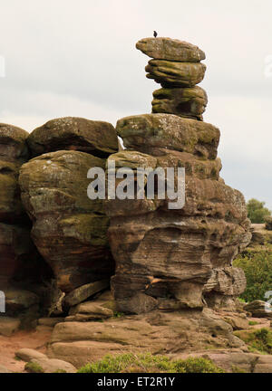 Brimham Rocks, Brimham Moor, National Trust area di proprietà in North Yorkshire, Inghilterra Foto Stock