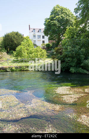 Case sulle rive del fiume Itchen Winchester Regno Unito in estate Foto Stock