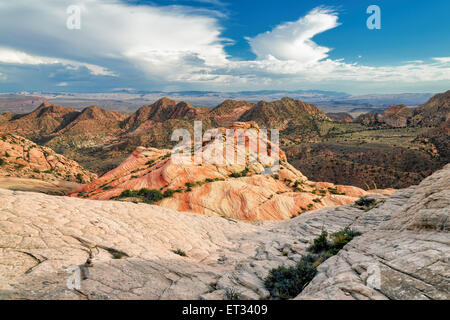 La caramella scogliere in Yant area piatta della foresta di pioppi neri americani deserto Foto Stock