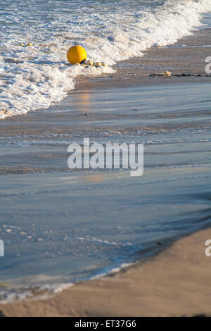 La pesca galleggianti lavato fino su banchi di sabbia spiaggia, Poole, Dorset, Regno Unito in giugno Foto Stock