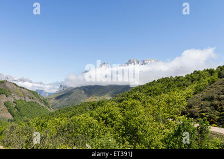 Le montagne di Picos de gamma Friero visto da Puerto de Pandetrave, Picos de Europa, Cordillera Cantabria, SPAGNA Foto Stock