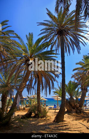 Vai spiaggia, famosa per le sue uniche Palm tree forest, vicino alla città di Sitia, prefettura di Lasithi, a est di Creta, Grecia Foto Stock