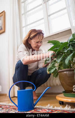 Senior donna guarda a pianta, annaffiatoio in primo piano, Monaco di Baviera, Germania Foto Stock