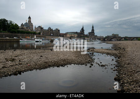 Dresden, Germania. Il giorno 08 Giugno, 2015. I battelli a vapore e motorizzato da navi da crociera della Saechsische Dampfschiffahrt (lit. Steamboat sassone tours) sono raffigurati ormeggiato a causa di acqua bassa di Dresda, in Germania, 08 giugno 2015. A causa del livello basso di acqua del fiume Elba, la società interrotto temporaneamente i suoi servizi. Foto: Arno Burgi/dpa/Alamy Live News Foto Stock