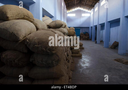 Sacchi di grandi dimensioni vengono impilati in una distribuzione di zenzero warehouse in Fort Cochin, Kerala, India del Sud Foto Stock