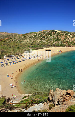 Vai spiaggia, famosa per le sue uniche Palm tree forest, vicino alla città di Sitia, prefettura di Lasithi, a est di Creta, Grecia Foto Stock