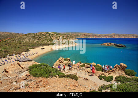 Vai spiaggia, famosa per le sue uniche Palm tree forest, vicino alla città di Sitia, prefettura di Lasithi, a est di Creta, Grecia Foto Stock