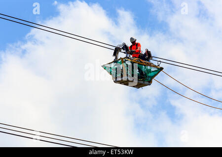 Ingegnere di lavoro su una linea elettrica ad alta tensione vicino a Glasgow, Scozia Foto Stock