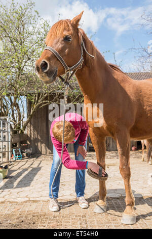 Donna toelettatura un cavallo nel ranch Baviera Germania Foto Stock