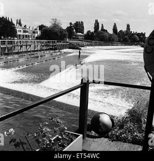 Marlow Weir, all'interno di Wycombe distretto a sud Buckinghamshire. Il 1 giugno 1954. Foto Stock