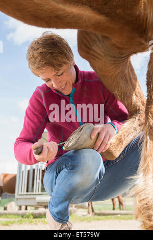 Pulizia donna zoccolo di cavallo Baviera Germania Foto Stock