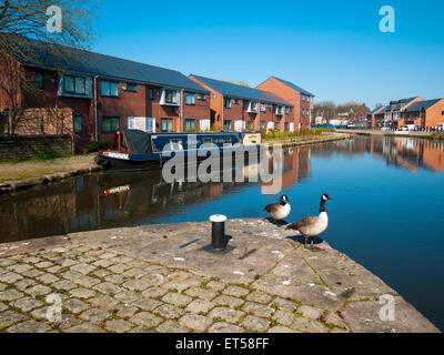 Case a lato del canale e una narrowboat riflesso nel canale Ashton, Fairfield Locks, Tameside, Manchester, Inghilterra, Regno Unito Foto Stock