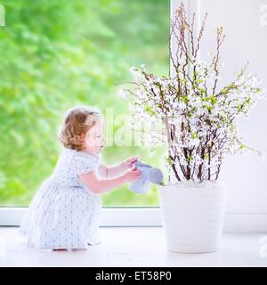 Carino bambina, funny toddler con capelli ricci indossando un azzurro vestito festivo, irrigazione fiori - fiore di ciliegio albero a home Foto Stock