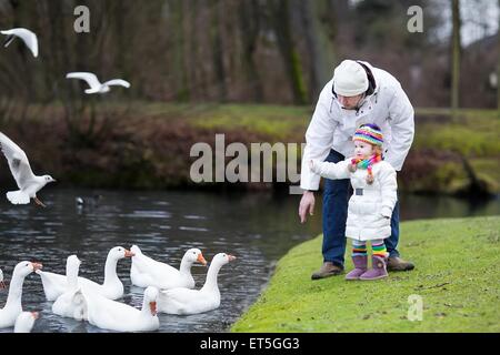 Felice giovane padre e la sua adorabile figlia toddler bianco di alimentazione di oche in un bellissimo parco invernale con un fiume Foto Stock