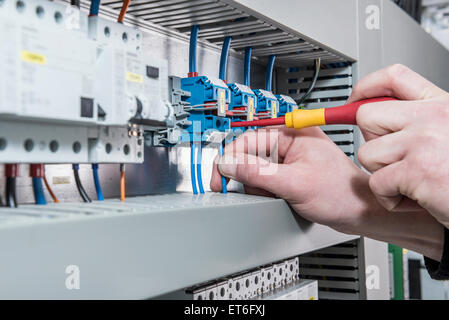 Close-up di elettricista in avvitamento cavo nella scatola dei fusibili di distribuzione, Monaco di Baviera, Germania Foto Stock