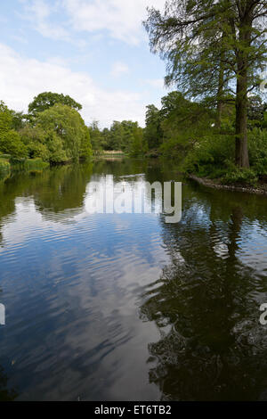 Kew Royal Botanical Gardens, lago centrale da Sackler Crossing bridge - Londra, Regno Unito, Europa Foto Stock