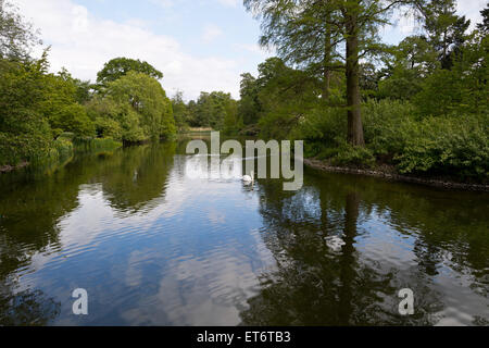 Kew Royal Botanical Gardens, lago centrale da Sackler Crossing bridge - Londra, Regno Unito, Europa Foto Stock