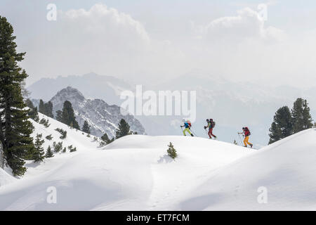 Chi pratica lo sci alpinismo arrampicata sul picco innevato, Tirolo, Austria Foto Stock