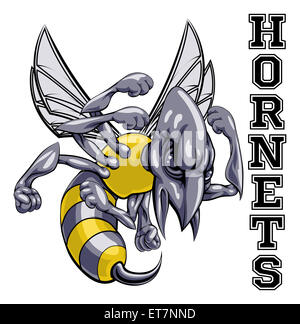 Una illustrazione di un cartoon hornet sport di squadra mascotte con il testo calabroni Foto Stock