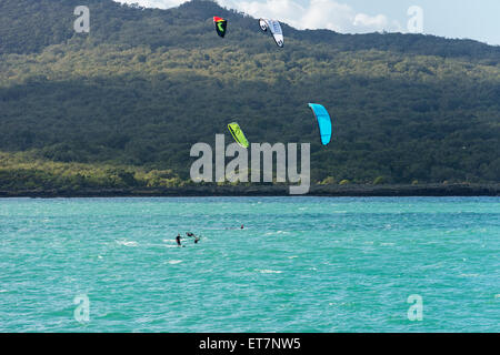 Persone in parapendio, Auckland, Isola del nord, Nuova Zelanda Foto Stock