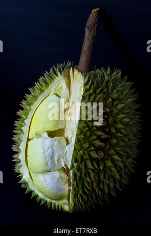 Ancora vita durian, famoso frutto della Thailandia Foto Stock