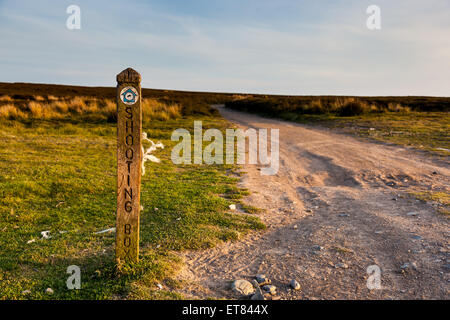 Waymarker alla scatola di scatto sulla lunga Mynd, vicino a Church Stretton, Shropshire, Inghilterra, Regno Unito Foto Stock