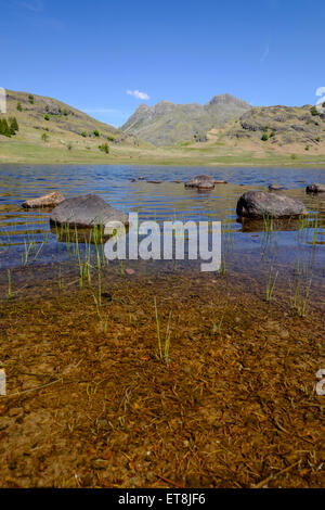 Blea Tarn, Lake District, Cumbria, Regno Unito, Foto Stock