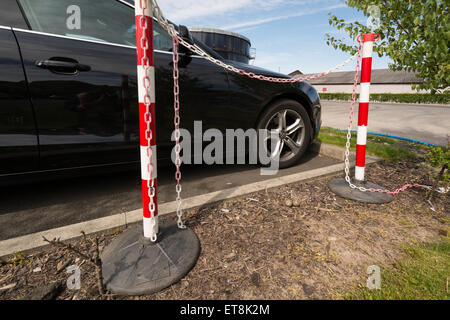 Pavoncella nido con due uova nel parcheggio auto - i paracarri sono stati posti per aiutare a proteggere le uova Foto Stock