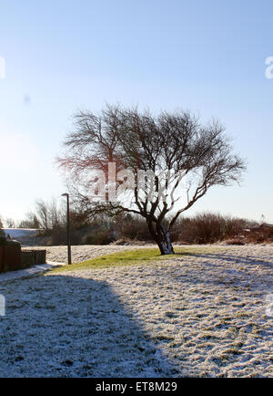 Ieri sera ha visto la prima neve caduta ha colpito il nord est dell' Inghilterra dopo la Scozia e lo Yorkshire ha ricevuto la loro sul Boxing Day con: atmosfera dove: Newcastle, Regno Unito quando: 28 Dic 2014 Credit: WENN.com Foto Stock