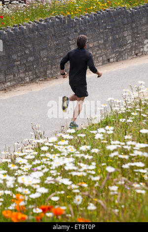 Bournemouth Dorset, Regno Unito 12 Giugno 2015. Pareggiatore passato corre fiori selvatici ad Alum Chine nel giugno del credito: Carolyn Jenkins/Alamy Live News Foto Stock