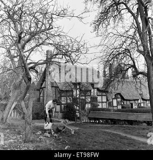 Anne Hathaway's Cottage in Shottery, vicino a Stratford-upon-Avon Warwickshire. Circa 1953. Foto Stock