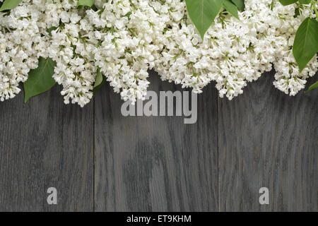 Bianco fiore lilla sul vecchio tavolo in legno di quercia vista superiore con spazio di copia Foto Stock