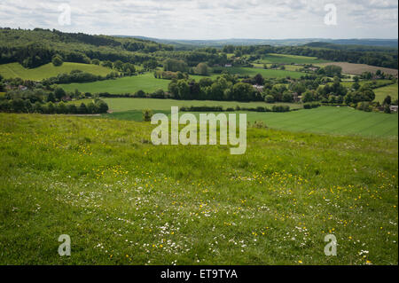 Cley Hill, vicino Warminster, Wiltshire. Foto Stock