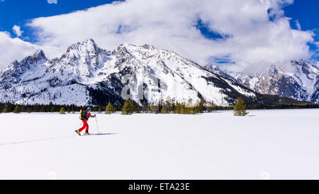 Backcountry rider sotto il Tetons, Grand Teton National Park, Wyoming USA Foto Stock