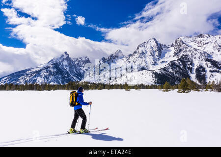 Backcountry rider sotto il Tetons, Grand Teton National Park, Wyoming USA Foto Stock