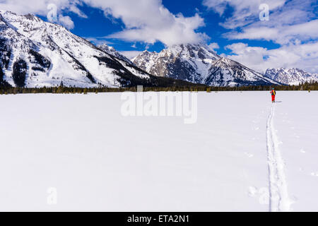 Backcountry rider sotto il monte Moran, Grand Teton National Park, Wyoming USA Foto Stock