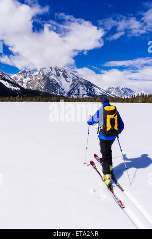 Backcountry rider sotto il monte Moran, Grand Teton National Park, Wyoming USA Foto Stock