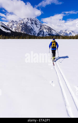 Backcountry rider sotto il monte Moran, Grand Teton National Park, Wyoming USA Foto Stock