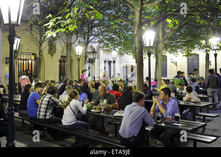 Praga Repubblica Ceca, gli ospiti nel giardino della birra nei pub birreria U Fleku Foto Stock