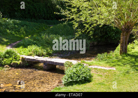 Un salice crescente accanto al vecchio ponte di pietra sul fiume occhio nel villaggio Costwold di Upper Slaughter, Gloucestershire Foto Stock