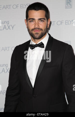 Celebrità frequentare assiste l'arte di Elysium e Samsung Galaxy presente Marina Abramovic il cielo di Hangar 8 in Santa Monica. Dotato di: Jesse Metcalfe dove: Los Angeles, California, Stati Uniti quando: 11 Gen 2015 Credit: Brian A/WENN.com Foto Stock